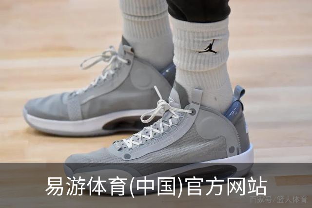 易游体育(中国)官方网站公司介绍