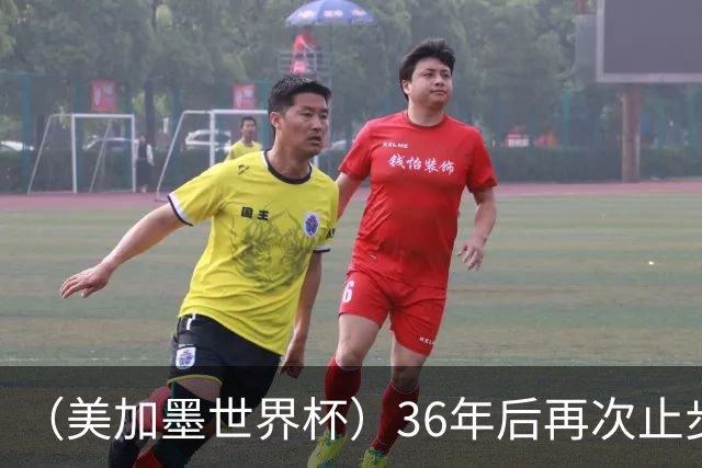 （美加墨世界杯）36年后再次止步16强 巴西距“六星之梦”仍遥远